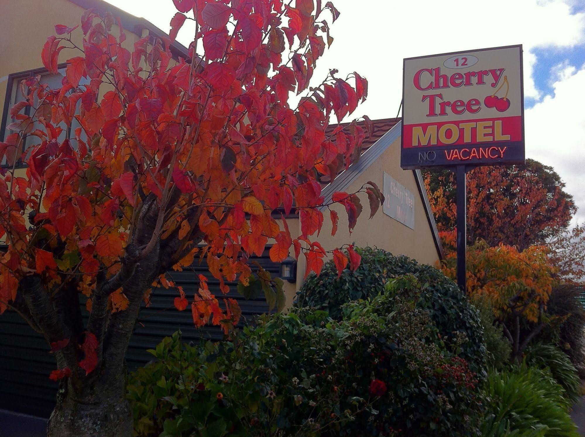 Cherry Tree Lodge Motel Christchurch Zewnętrze zdjęcie